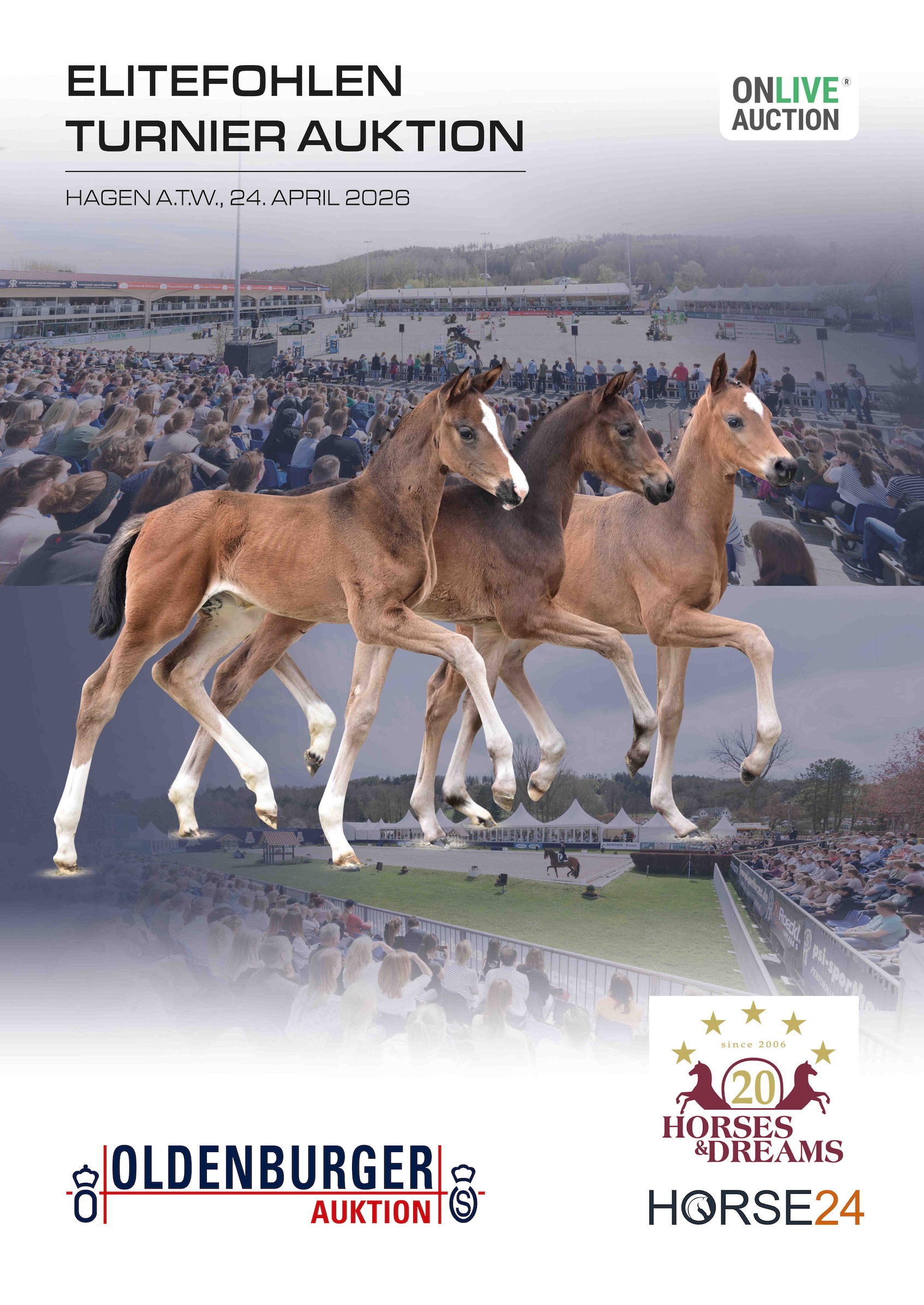 Katalog Elitefohlen Turnier Auktion 2025