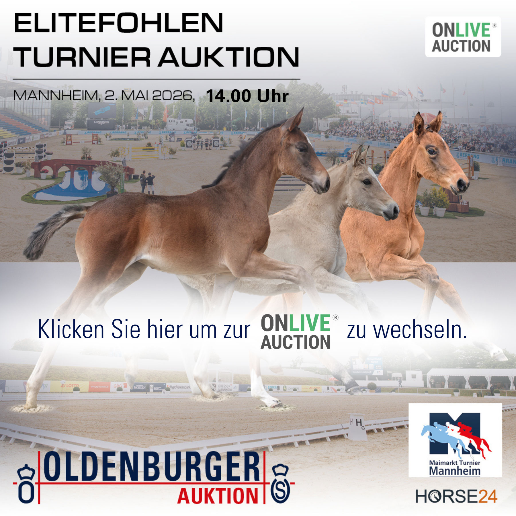 Website_Banner_Auction.png