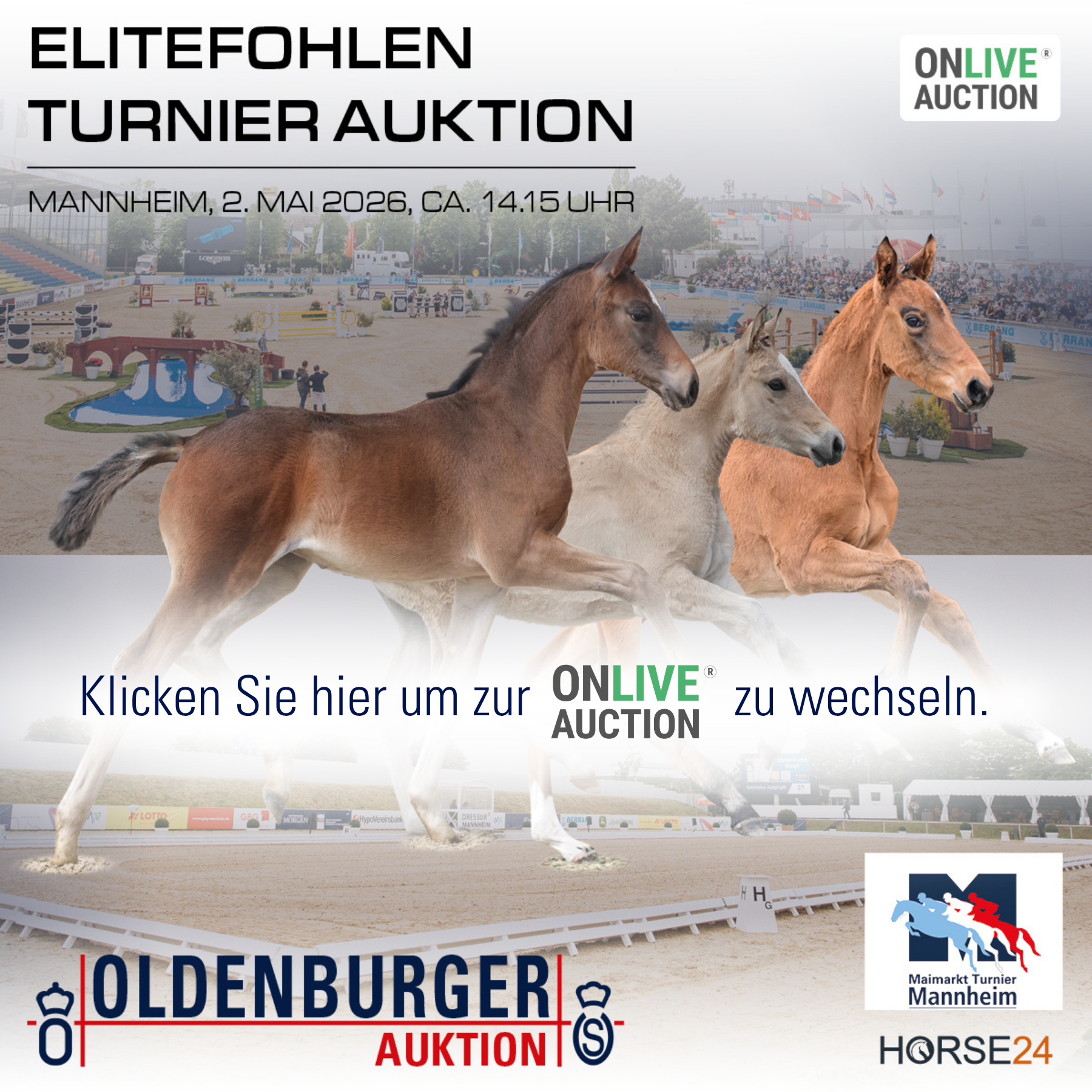 Website_Banner_Auction.png