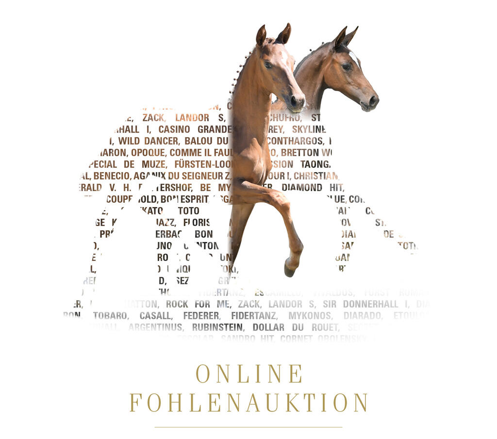 intro-image